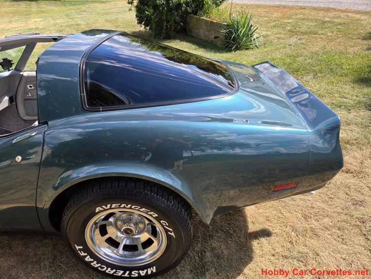 Chevrolet-Corvette-1982-Blue-gray-14