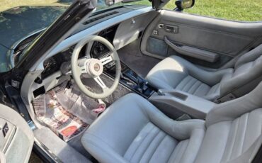 Chevrolet-Corvette-1982-Blue-gray-16
