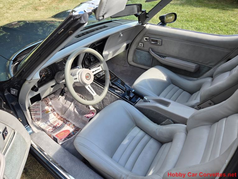 Chevrolet-Corvette-1982-Blue-gray-16