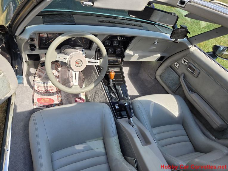 Chevrolet-Corvette-1982-Blue-gray-17