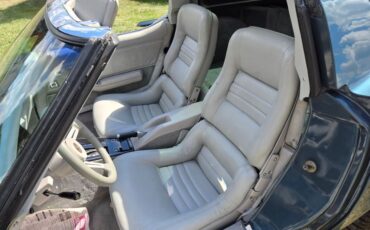 Chevrolet-Corvette-1982-Blue-gray-18