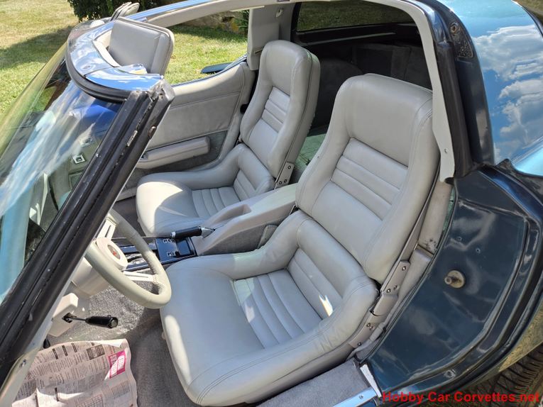 Chevrolet-Corvette-1982-Blue-gray-18