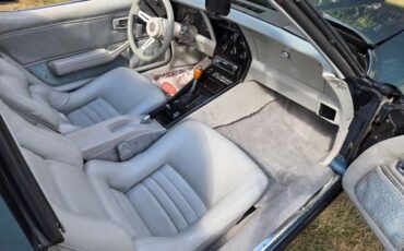 Chevrolet-Corvette-1982-Blue-gray-20