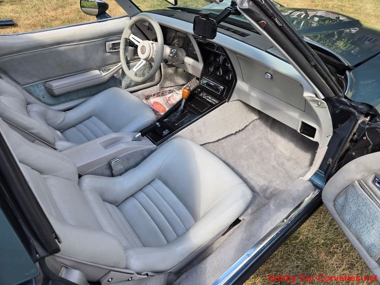 Chevrolet-Corvette-1982-Blue-gray-20