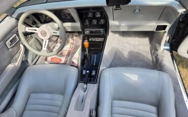Chevrolet-Corvette-1982-Blue-gray-21