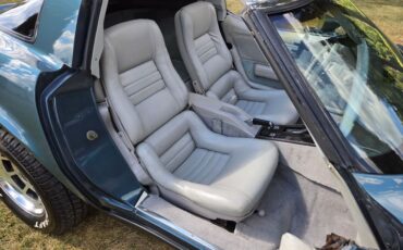 Chevrolet-Corvette-1982-Blue-gray-22