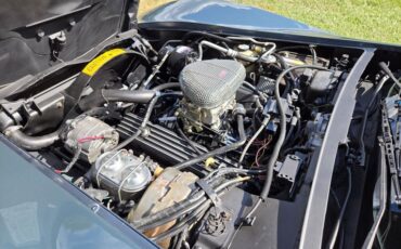 Chevrolet-Corvette-1982-Blue-gray-24