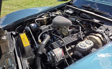 Chevrolet-Corvette-1982-Blue-gray-25