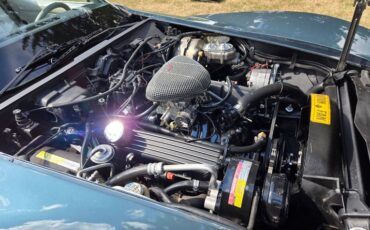 Chevrolet-Corvette-1982-Blue-gray-26