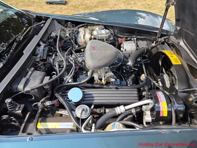 Chevrolet-Corvette-1982-Blue-gray-27