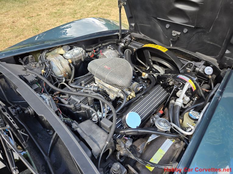 Chevrolet-Corvette-1982-Blue-gray-28