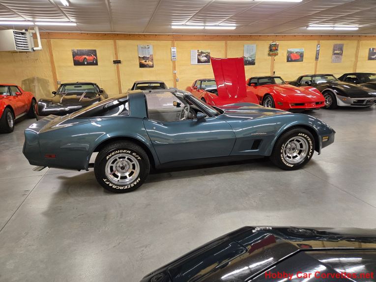 Chevrolet-Corvette-1982-Blue-gray-8