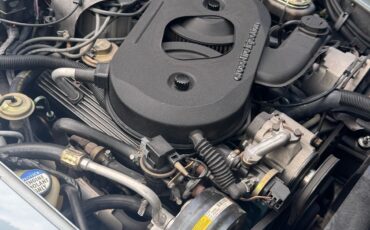 Chevrolet-Corvette-1982-Coupe-17