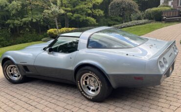 Chevrolet-Corvette-1982-Coupe-5