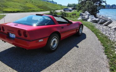 Chevrolet-Corvette-1987-Hatchback-23