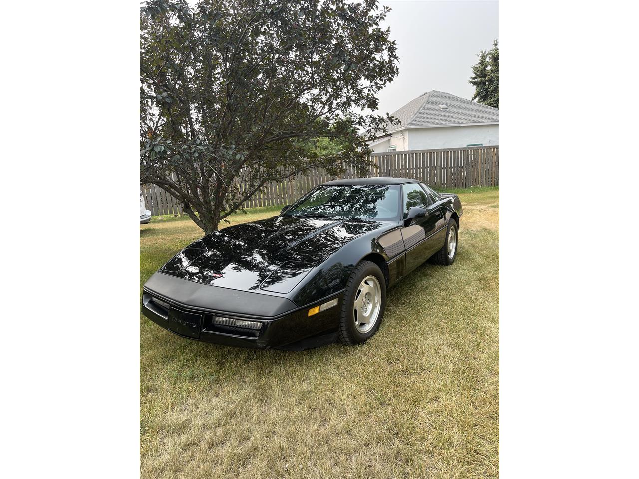 Chevrolet-Corvette-1988-black-black-1