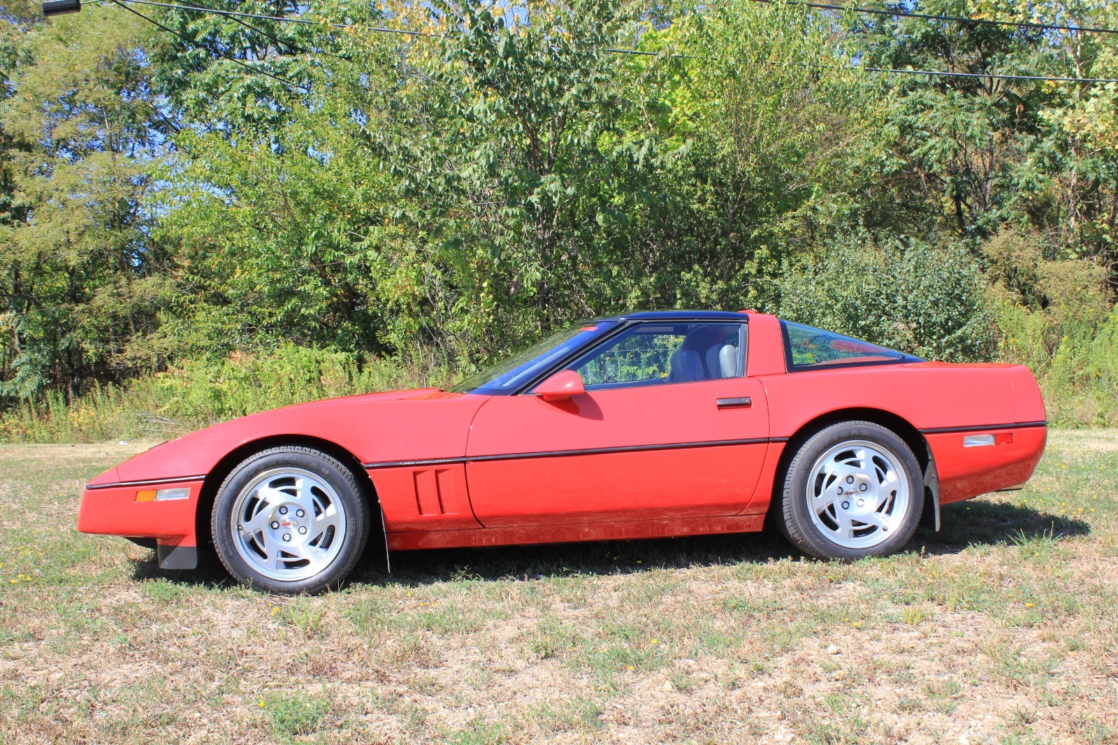 Chevrolet-Corvette-1990-Hatchback-1