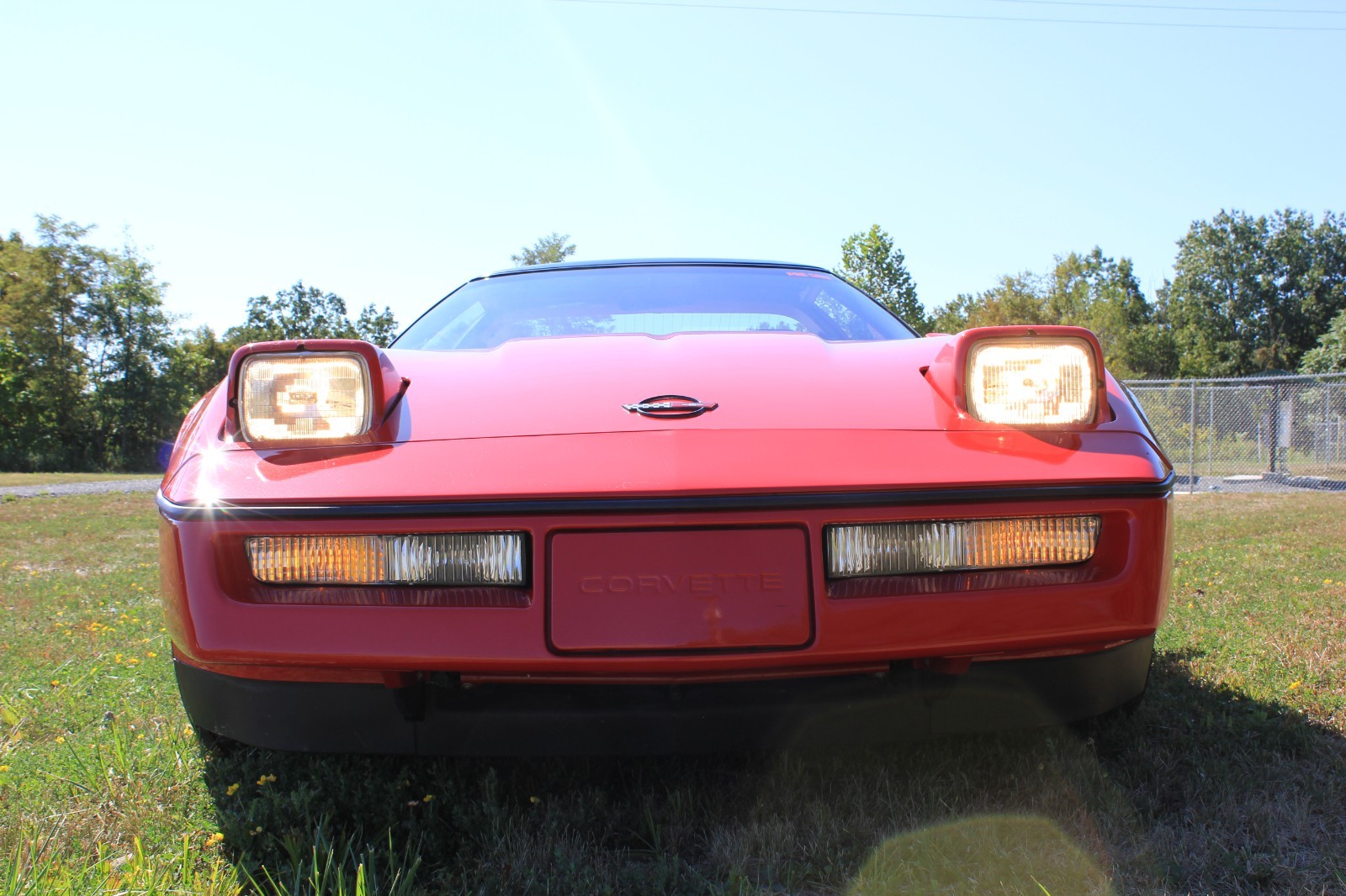 Chevrolet-Corvette-1990-Hatchback-4