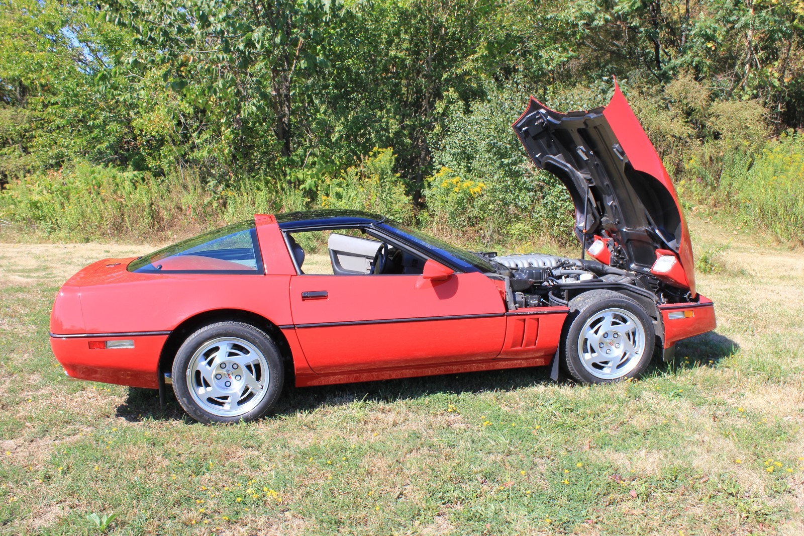 Chevrolet-Corvette-1990-Hatchback-9