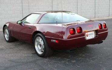Chevrolet-Corvette-1993-Burgundy-Burgundy-17