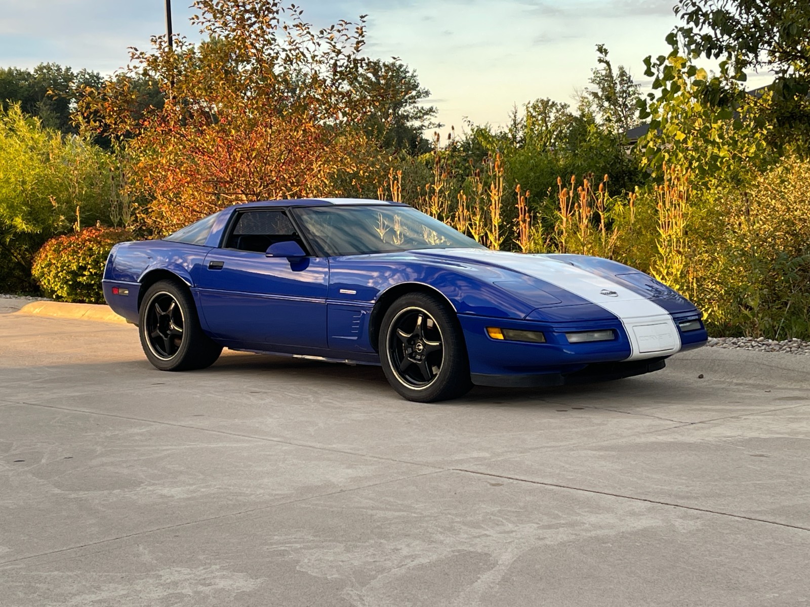 Chevrolet-Corvette-1996-Hatchback-8