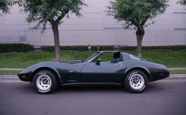 Chevrolet-Corvette-350-V8-Coupe-1979-1