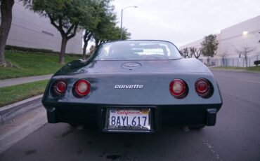 Chevrolet-Corvette-350-V8-Coupe-1979-13