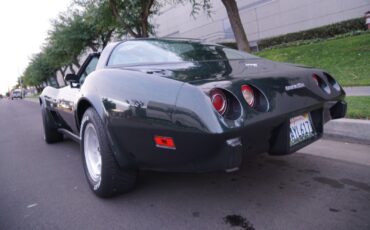 Chevrolet-Corvette-350-V8-Coupe-1979-15