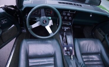 Chevrolet-Corvette-350-V8-Coupe-1979-32
