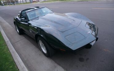 Chevrolet-Corvette-350-V8-Coupe-1979-6