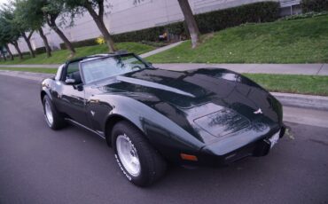 Chevrolet-Corvette-350-V8-Coupe-1979-8