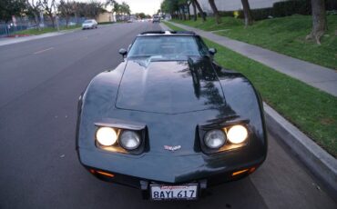 Chevrolet-Corvette-350-V8-Coupe-1979-9