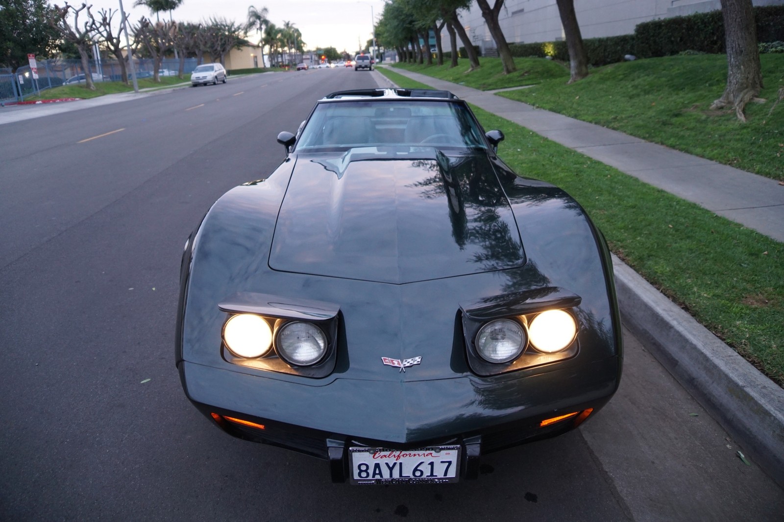 Chevrolet-Corvette-350-V8-Coupe-1979-9