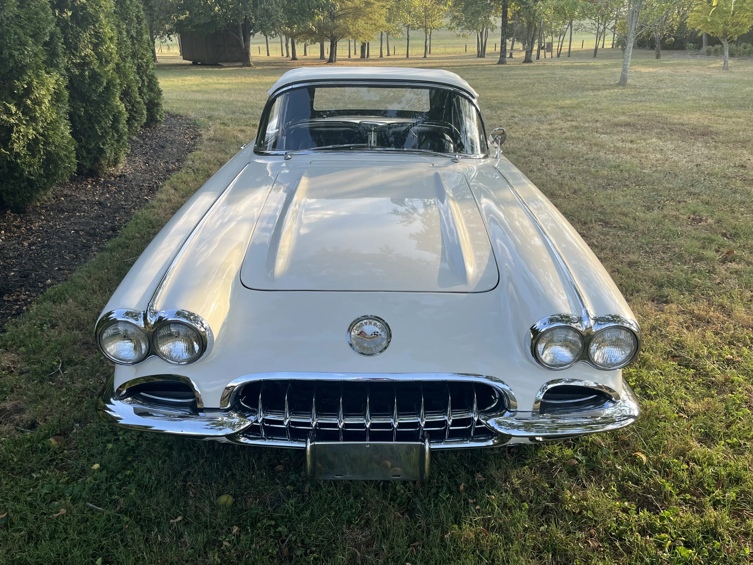 Chevrolet-Corvette-convertible-1960-White-Black-16