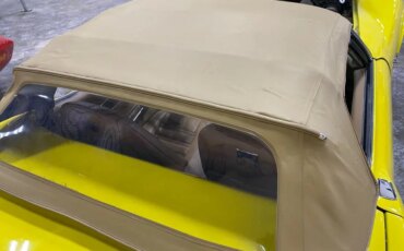Chevrolet-Corvette-convertible-1974-Yellow-Brown-3