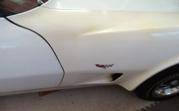 Chevrolet-Corvette-convertible-1977-White-Red-28