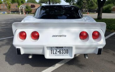 Chevrolet-Corvette-convertible-1979-White-Red-10