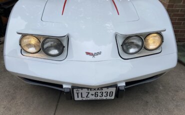Chevrolet-Corvette-convertible-1979-White-Red-21