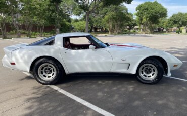 Chevrolet-Corvette-convertible-1979-White-Red-25