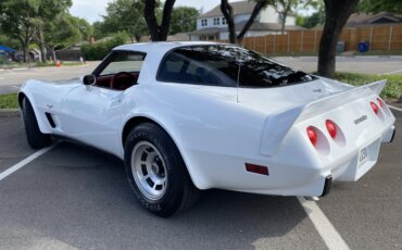 Chevrolet-Corvette-convertible-1979-White-Red-26