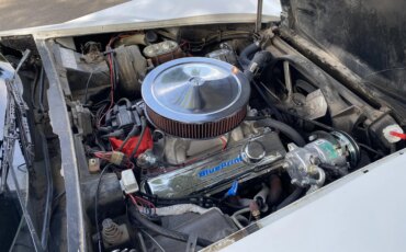 Chevrolet-Corvette-convertible-1979-White-Red-34