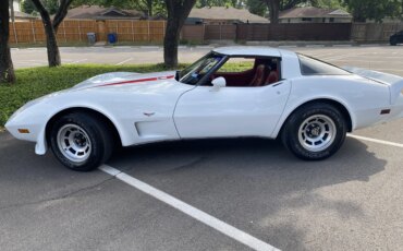 Chevrolet-Corvette-convertible-1979-White-Red-9