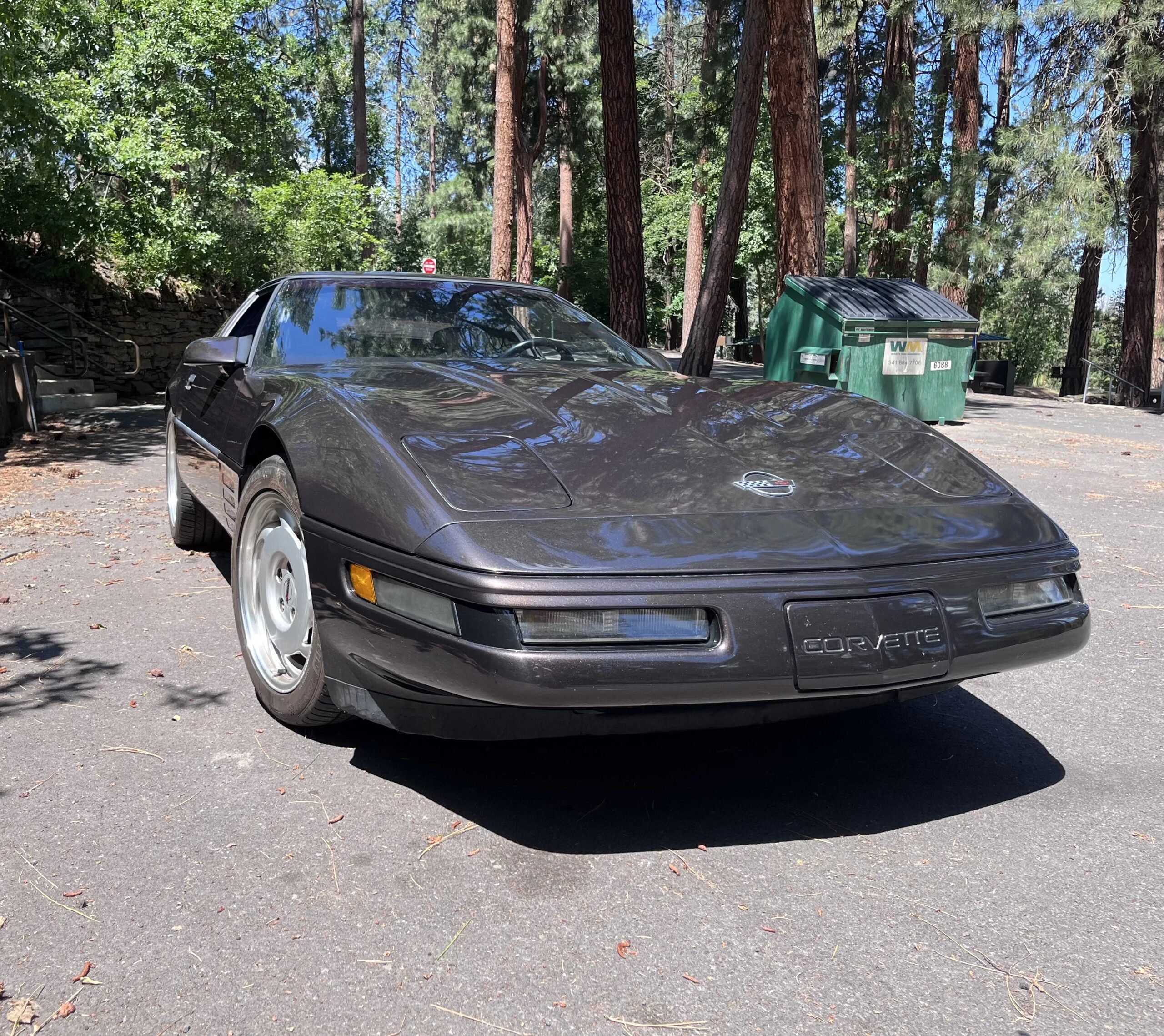 Chevrolet-Corvette-convertible-1991-Gray-Gray-10