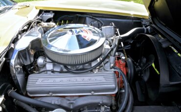 Chevrolet-Corvette-coupe-1967-Yellow-Black-22