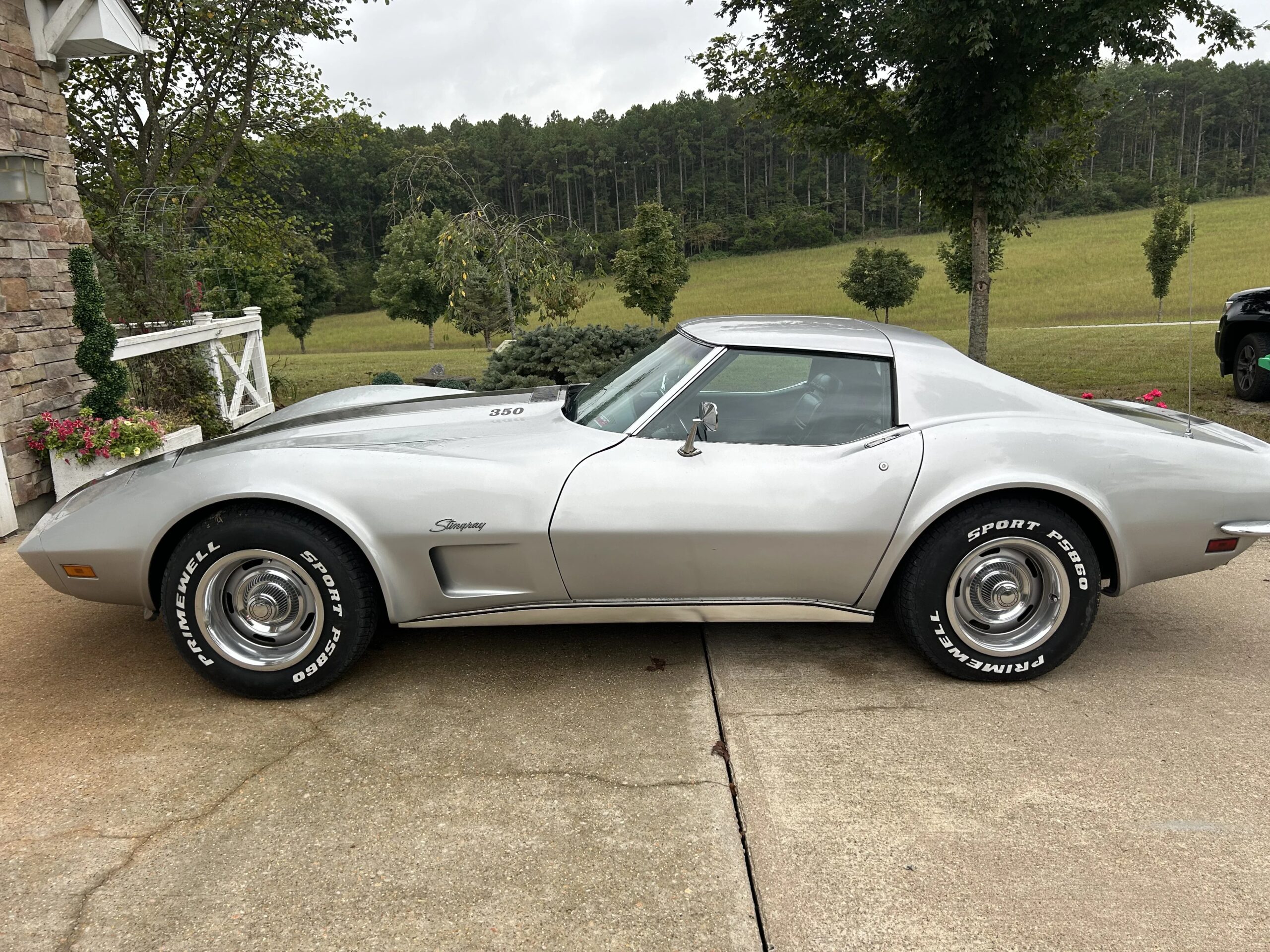 Chevrolet-Corvette-coupe-1973-Silver-Black-4
