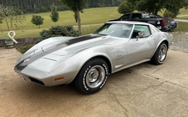 Chevrolet-Corvette-coupe-1973-Silver-Black-6