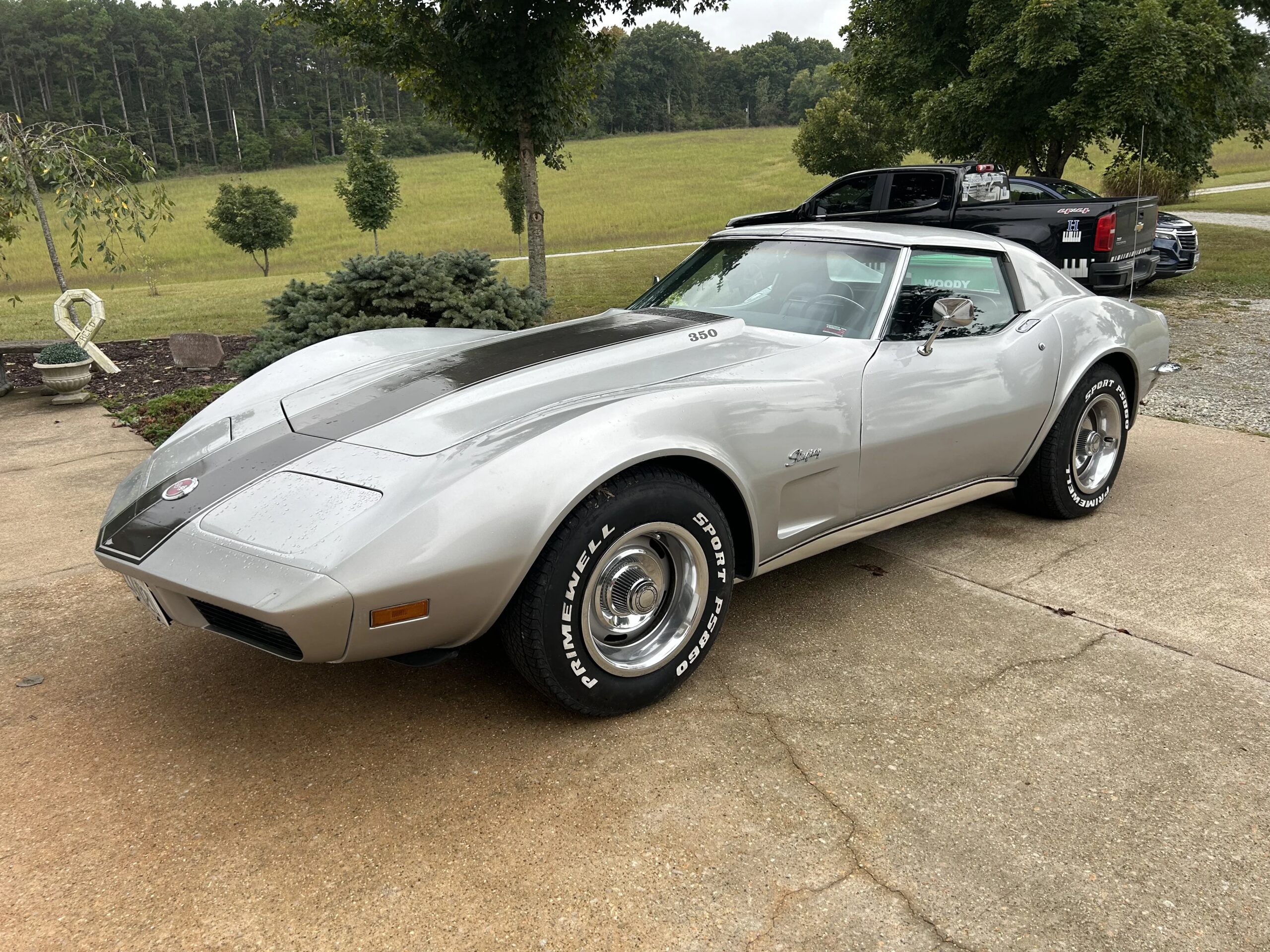 Chevrolet-Corvette-coupe-1973-Silver-Black-6