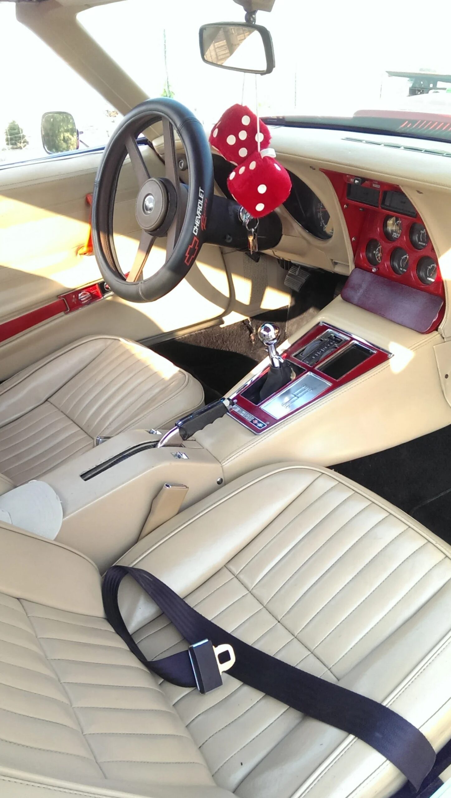 Chevrolet-Corvette-coupe-1976-Red-Beige-6
