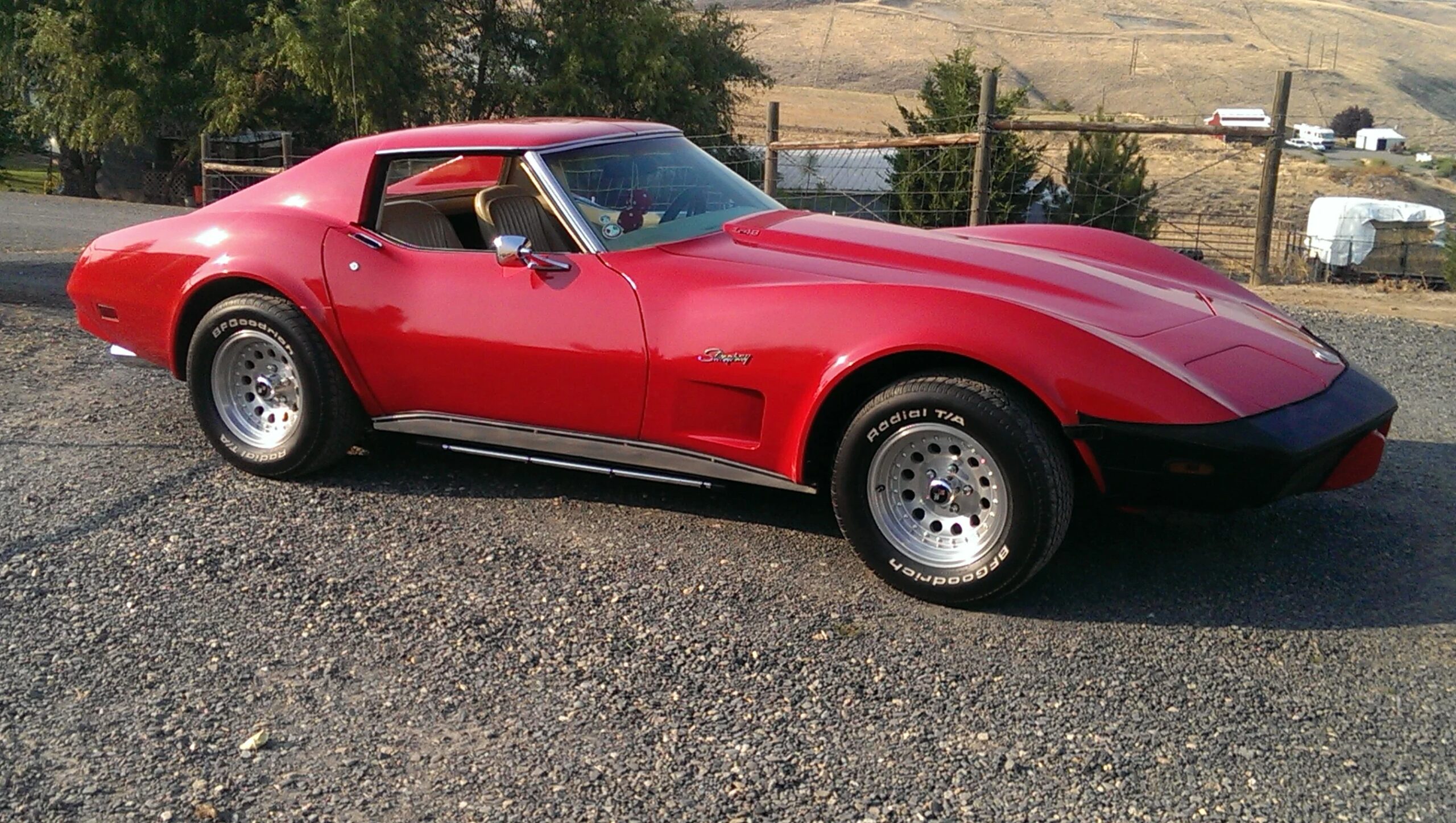 Chevrolet-Corvette-coupe-1976-Red-Beige