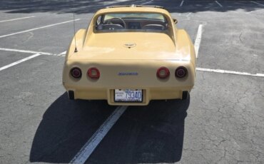 Chevrolet-Corvette-coupe-1977-Tan-Tan-1